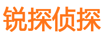 龙门私家调查公司